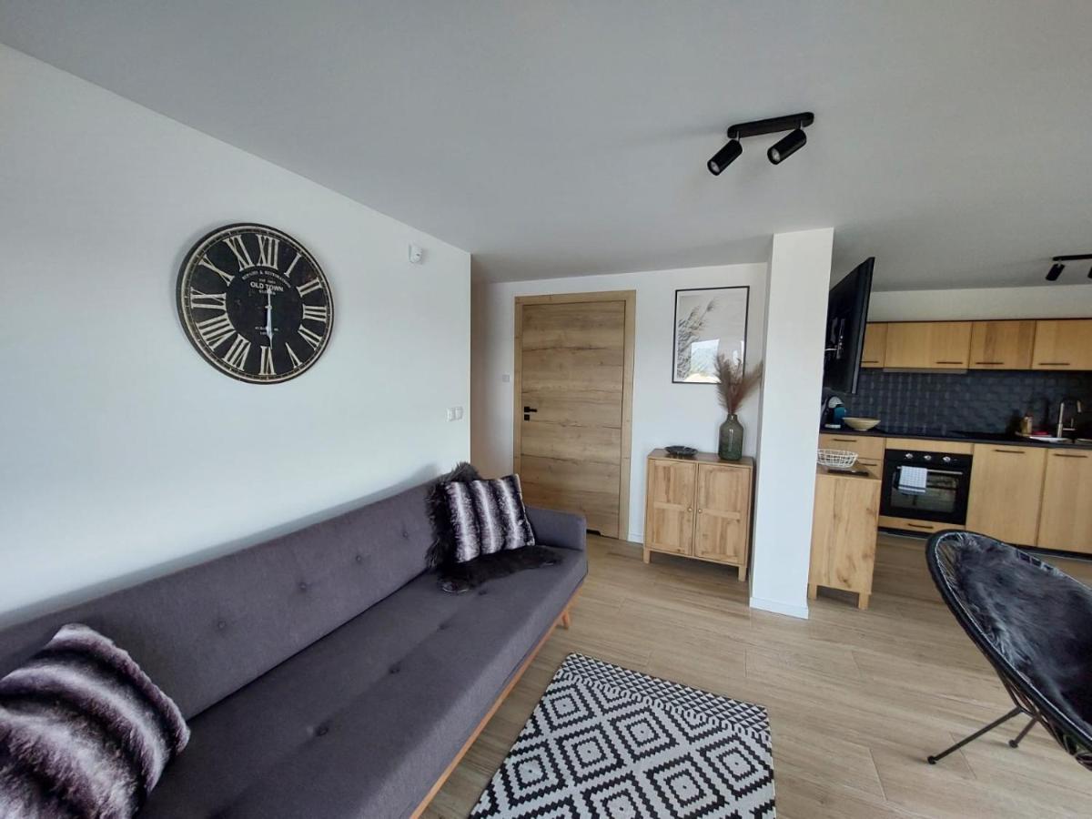 Apartamenty 'Okno Z Widokiem' Висла Экстерьер фото
